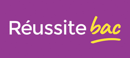 Réussite bac